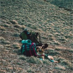 LOWLAND OUTDOOR® Donzen Slaapzak - Super Compact Blanket - 210 X 80 Cm - 590gr +8°C -Bo Camp Goedkope Winkel 1200x1196 18