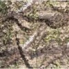 Camouflagenet 4meter Proloo In 3D Natuurlijk Groen 1,5x4meter - Advanced Camouflage - 2-laags Met Binnennet En 3D Blaadjes Buitennet | Natuurlijke Kleuren | Polyester | Boomhut | Kind | Jacht | Buitenleven