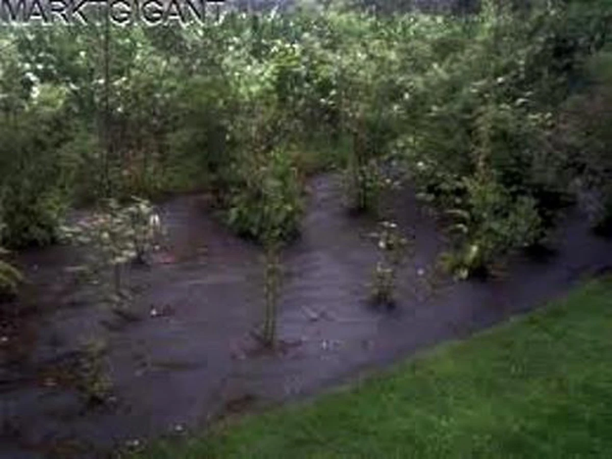 Tentzeil Bescherming , Gronddoek , Anti Worteldoek 8 X 4.80 Mtr / 130 Gr P/m² 2 Tentzeil Bescherming , Gronddoek , Anti Worteldoek 8 X 4.80 Mtr / 130 Gr P/m² - Afbeelding 2