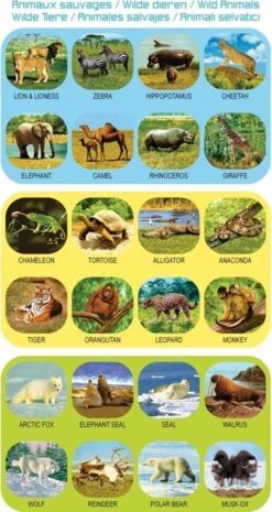 GEOKIDS: Projectiezaklamp/Wilde Dieren -Bo Camp Goedkope Winkel 637x1200 4