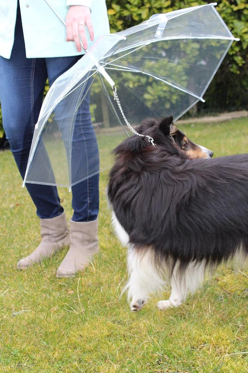 United Entertainment - Honden Paraplu - Wit 3 United Entertainment - Honden Paraplu - Wit - Afbeelding 3